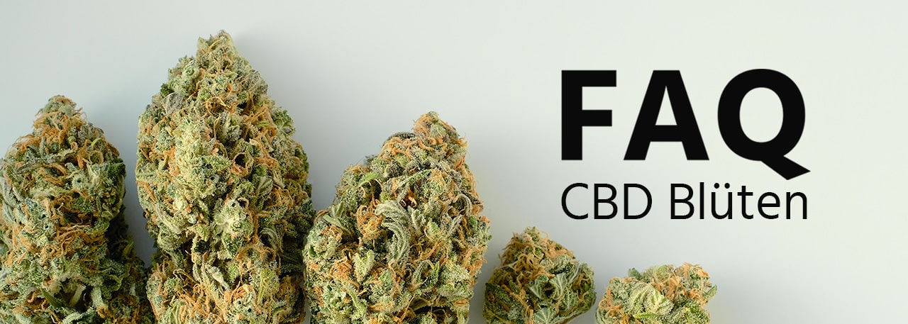 CBD blueten FAQ 1