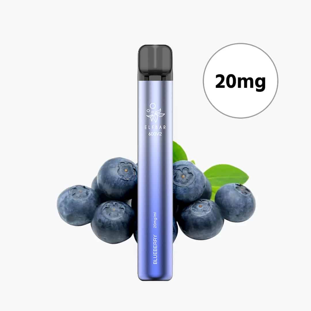 elfbar 600 v2 blueberry myrtilles