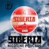 siberia red 80 wdp slim minze snus mit tabak 13g 43mg nikotin imagebild
