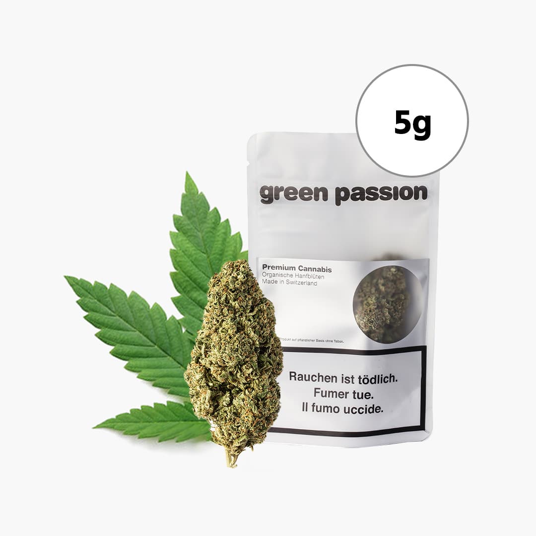 green passion amnesia indoor cbd flowers 5g cbd 19