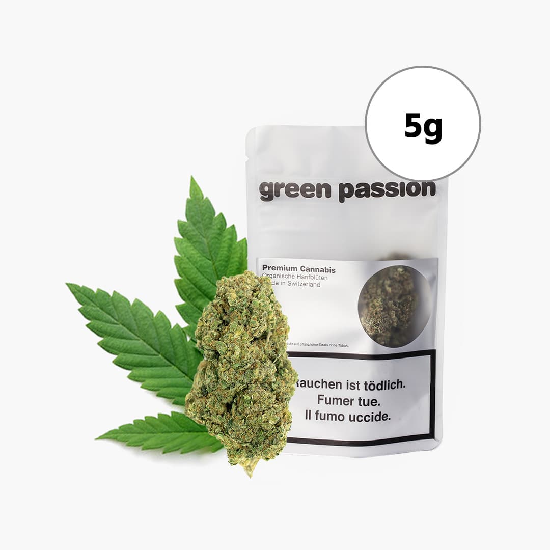 green passion maui kush indoor cbd blueten 5g cbd 21