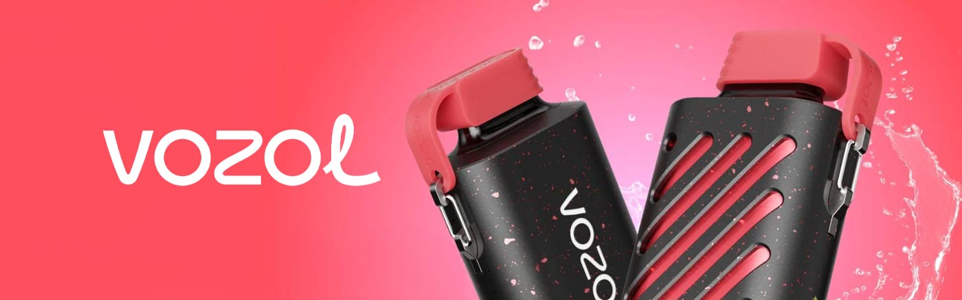 vozol gear 10000 e-zigarette
