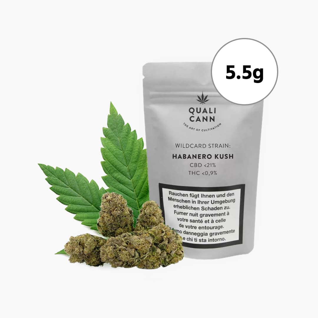 qualicann habanero kush cbd blueten 5 5g cbd 21
