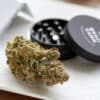 qualicann habanero kush cbd blueten imagebild