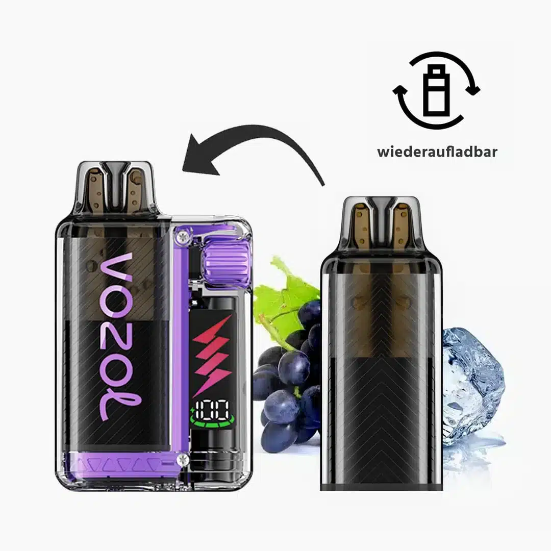 Vozol Vista Plug Starter kit  | Vape with rotary wheel (incl. 1 pod)