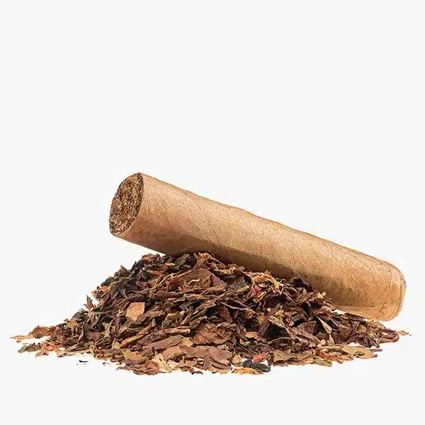 Catégorie tabac Elfbar