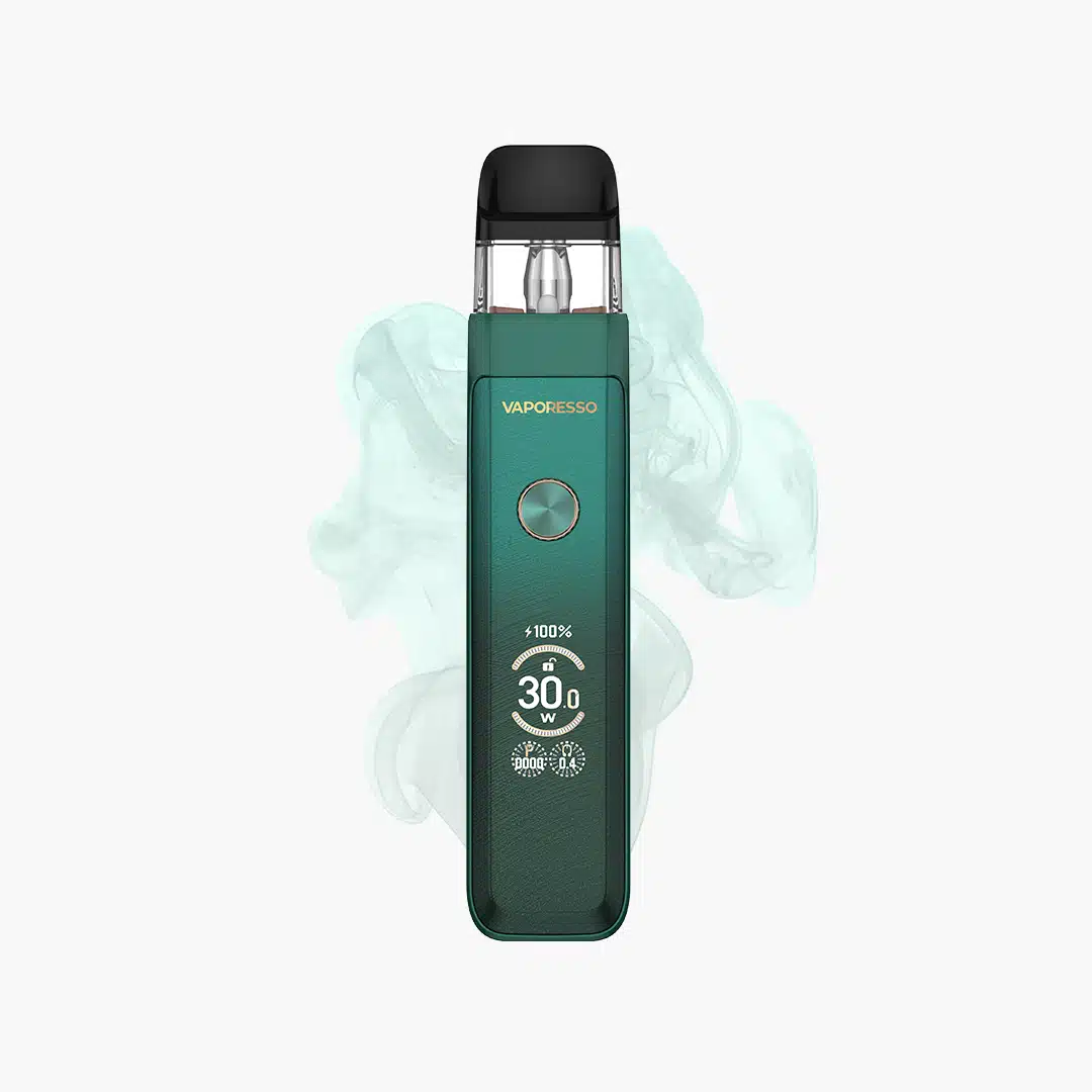 perpetual disposable vape review Spearmint (H) - Disposable Vape (1g)